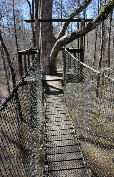 swinging bridge